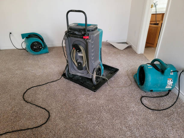 Best Carpet water damage restoration  in Long Hill, CT