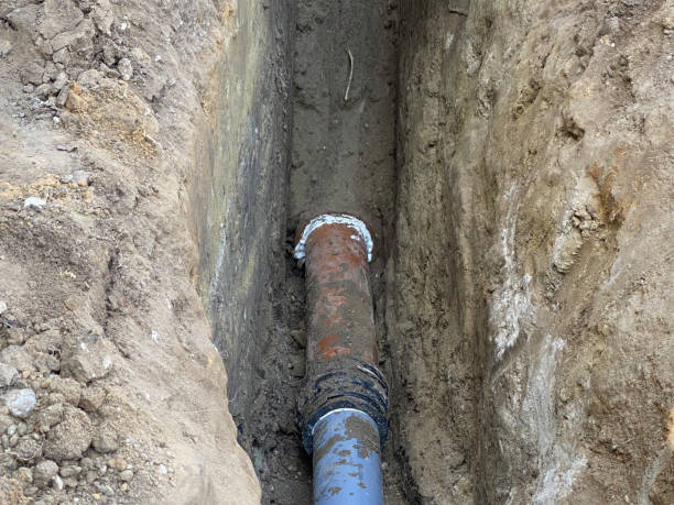 Best Professional water damage repair  in Long Hill, CT