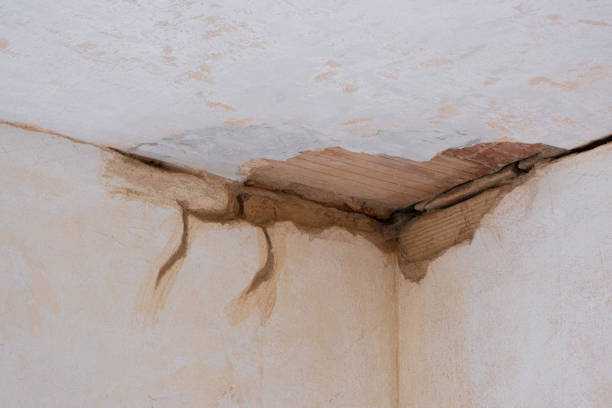 Reliable CT Water damage restoration Solutions