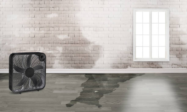 Best Fire Damage Restoration  in Long Hill, CT
