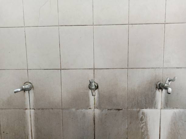 Best Flood damage cleanup  in Long Hill, CT
